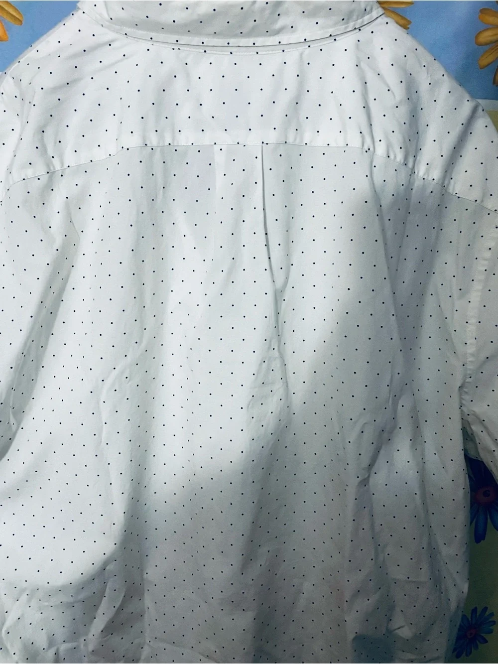 J. Crew Navy Wave-Print Button-Down & White Micro Dot Shirt